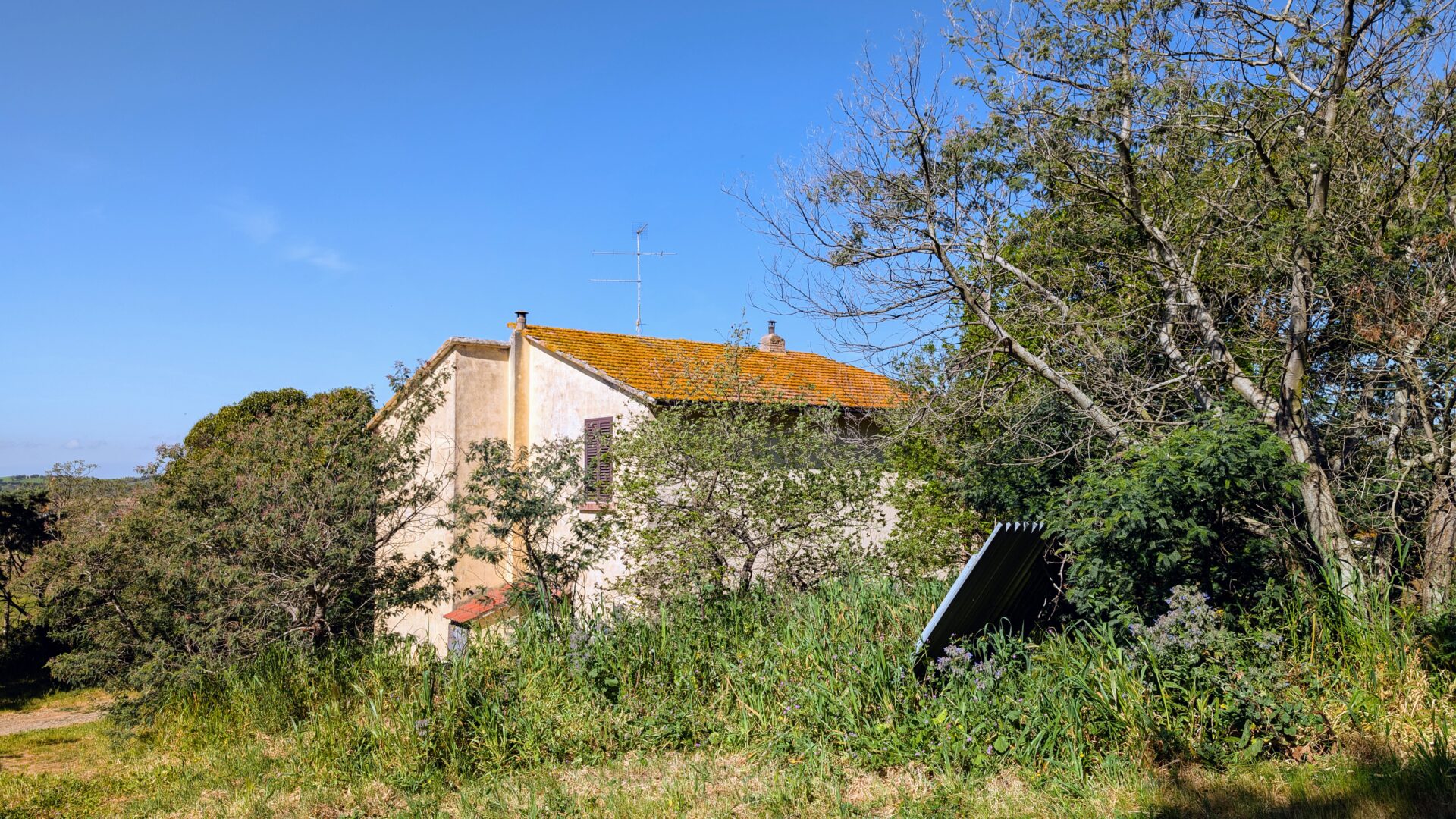 Property Featured Image